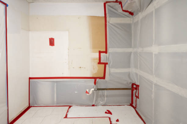 Best Environmental Consulting for Mold Prevention  in Oakville, CT