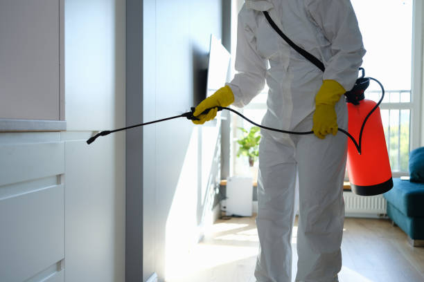 Best Mold Removal for HVAC Installations  in Oakville, CT