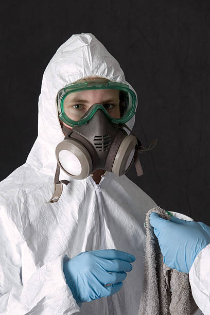 Best Basement Mold Removal  in Oakville, CT